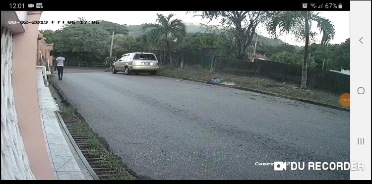 Man drives over woman who collapsed on the road