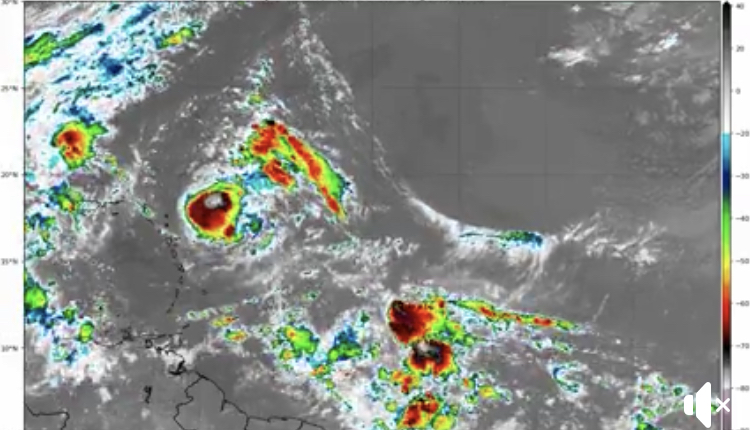 TTMS monitoring tropical wave