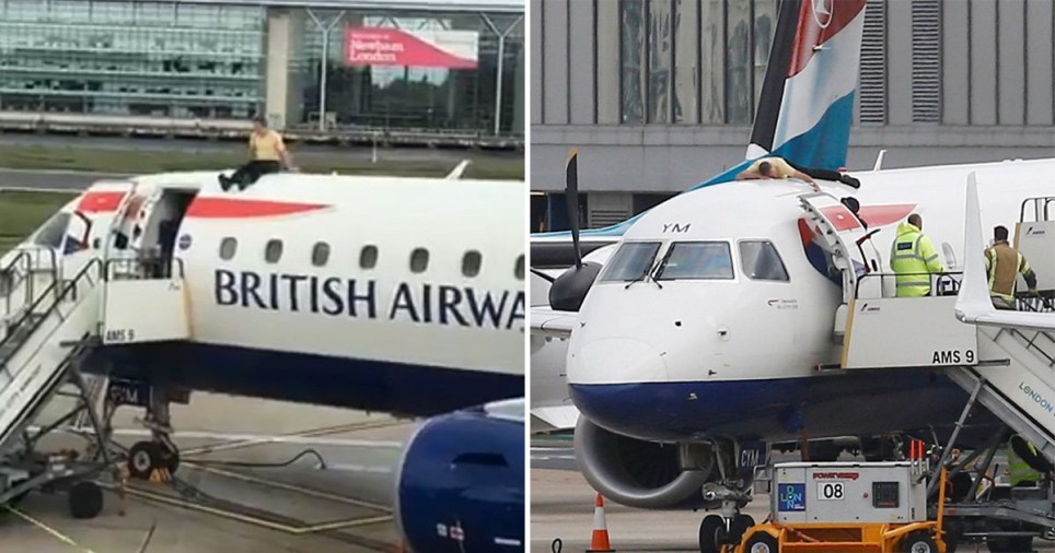 Environment Activist Climbs on to British Airways Plane before Take-Off
