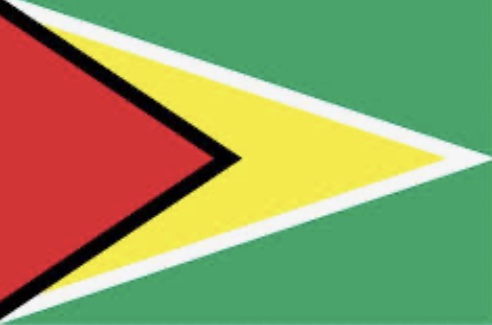 Guyana’s GDP will grow from US 4B to 15B by 2024