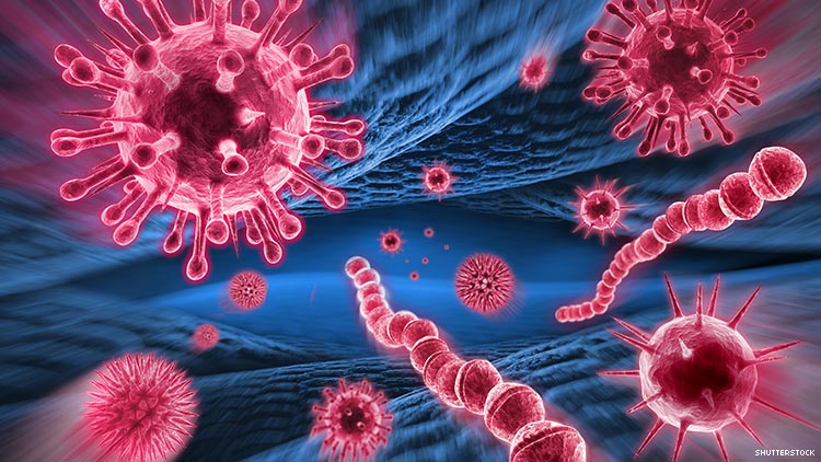 Scientists have confirmed the existence of an additional strain of HIV