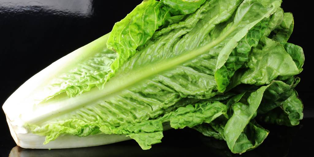 Citizens advised not to consume Romaine lettuce