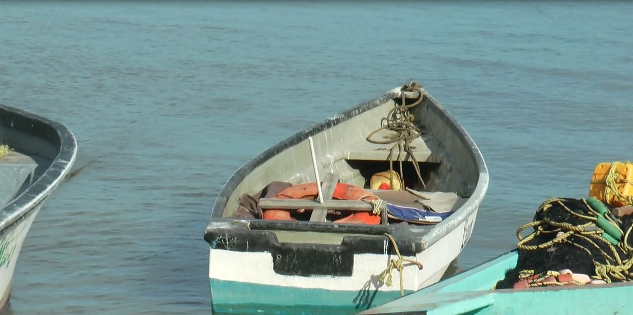 Fish vendor granted $15,000 for illegal vending