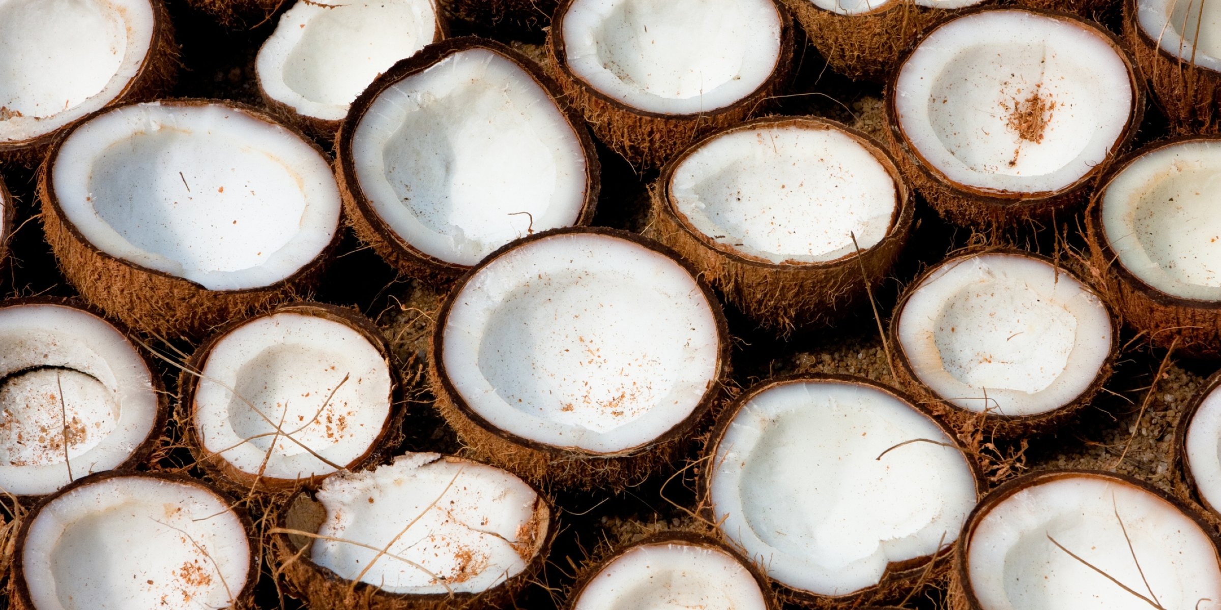 Filipino Scientists Say Virgin Coconut Oil Helps Destroy COVID-19
