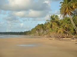 7 arrested for Mayaro beach ‘lime’
