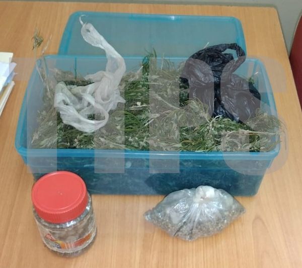 Scarborough police find 350 grams of marijuana