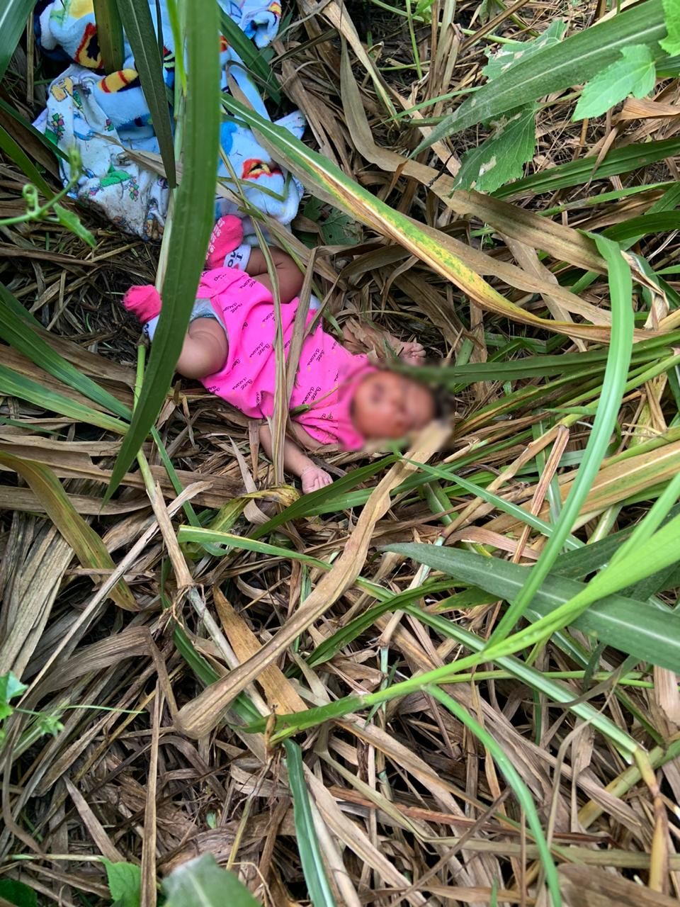 UPDATE: Officers rescue baby found abandoned in bushes in Freeport