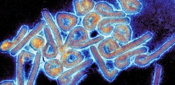 Researchers Confirm Human-to-Human Transmission of Rare Virus