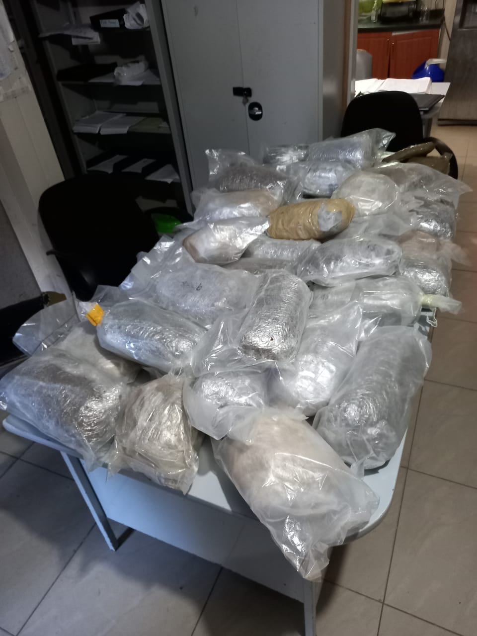 $1.3M in marijuana seized by Central Division police officers