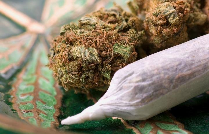 UN Removes Marijuana From List Of Most Dangerous Drugs