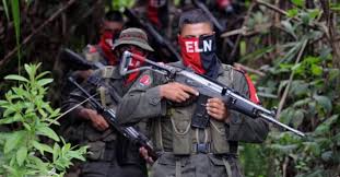 1,400 Colombian Guerrillas Are in Venezuela
