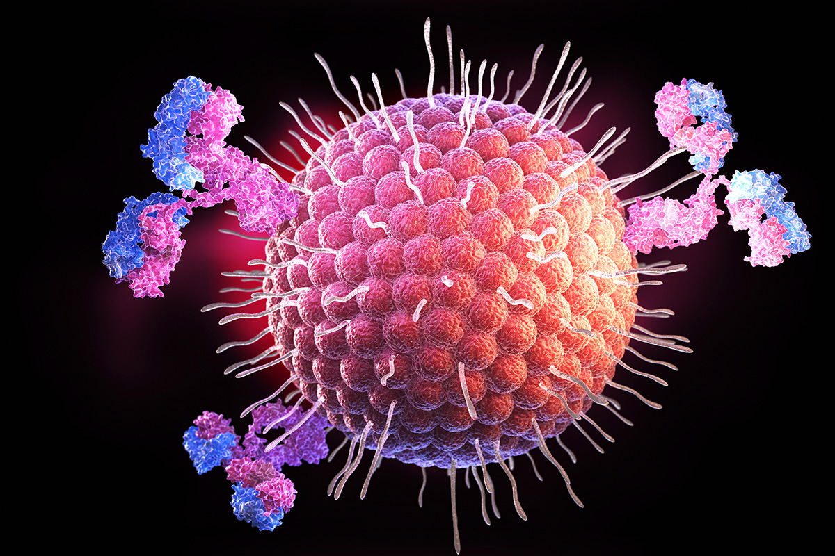 What Do We Know About the Norovirus?