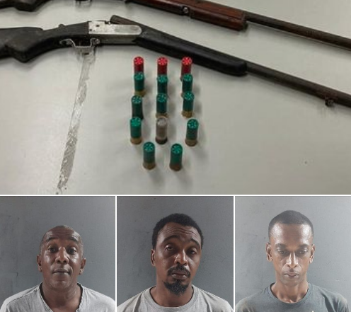 3 Charged for Trafficking Guns, Ammo