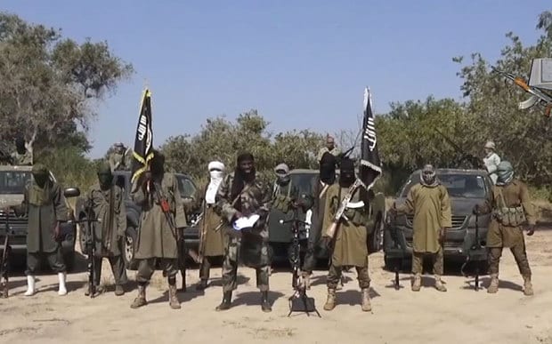 Boko Haram Attack Kills 14 in Northern Cameroon