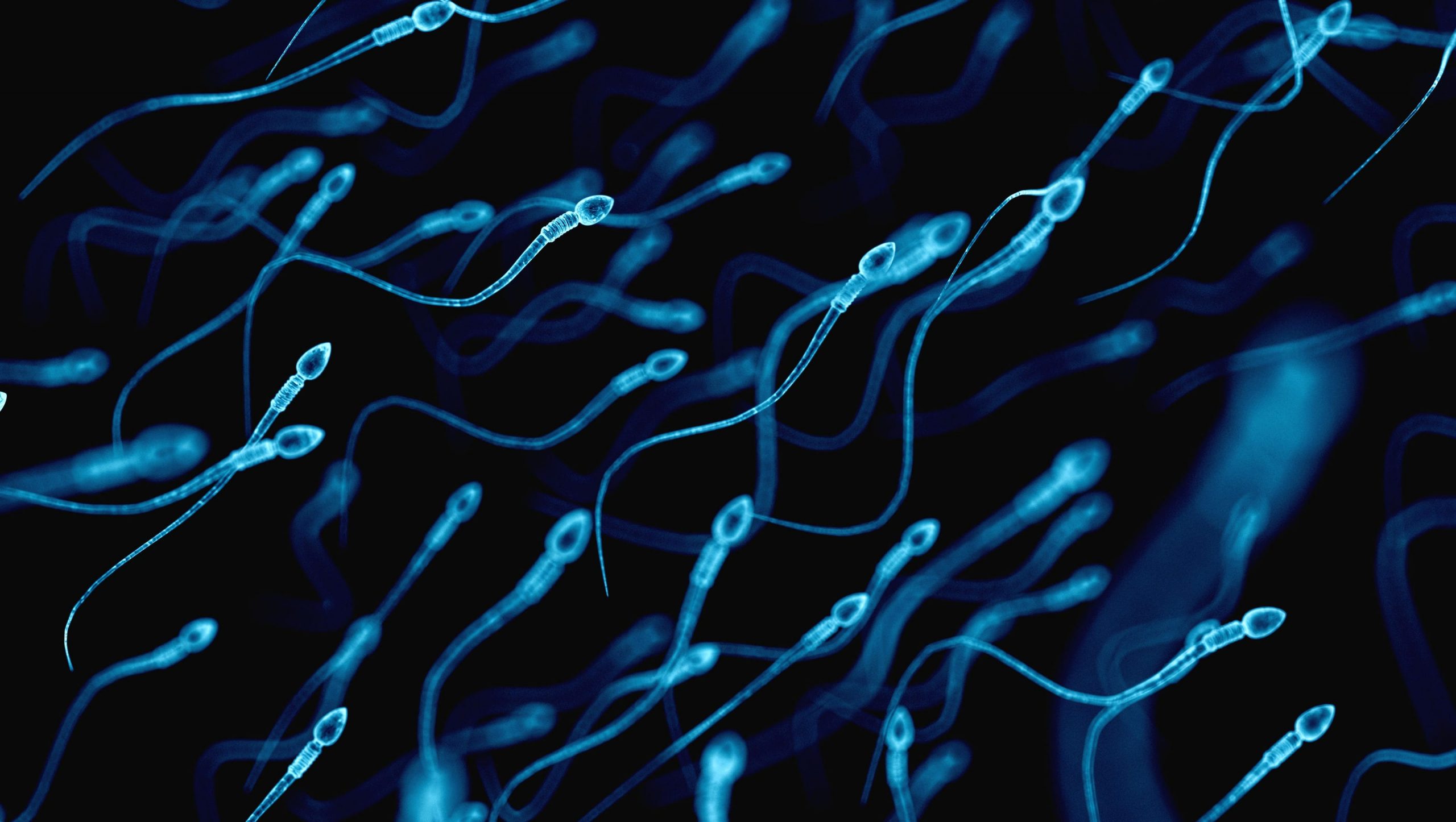Expert Warns Falling Sperm Counts Are “Threat to Human Survival”