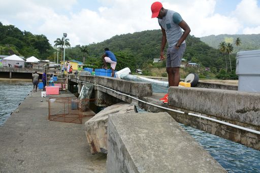 Tobago Parlatuvier fishermen crying out for the jetty to be repaired