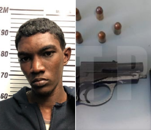 Santa Cruz man charged with possession of gun, ammo