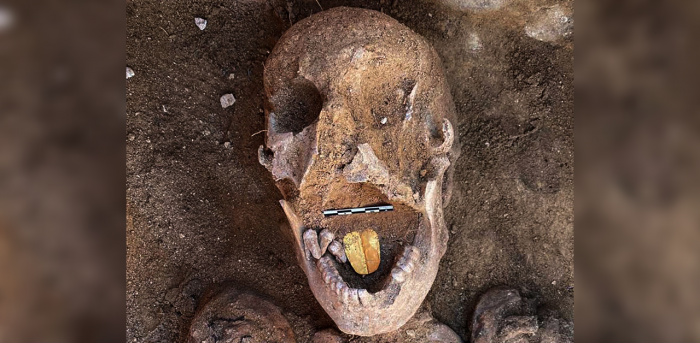 Archaeologists in Egypt Discover Mummy With Gold Tongue