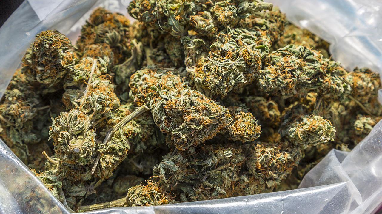 Large quantity of marijuana seized; 3 teens arrested