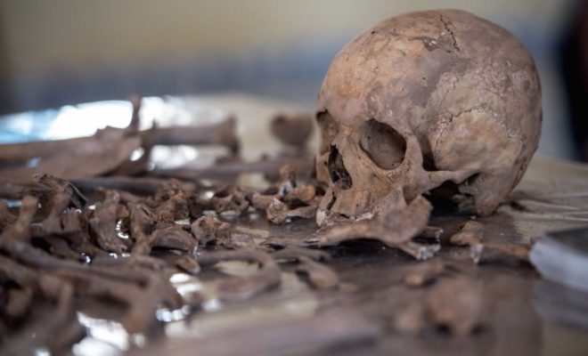 Skeletal remains found in Grande