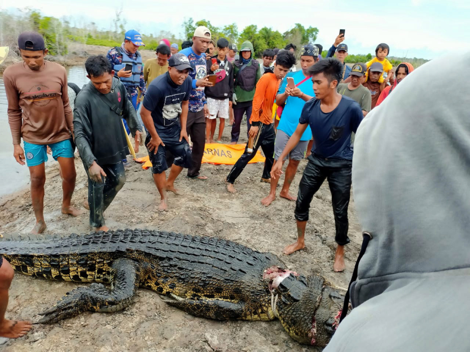 VIDEO: Boy, 8, Swallowed by Crocodile in Indonesia River