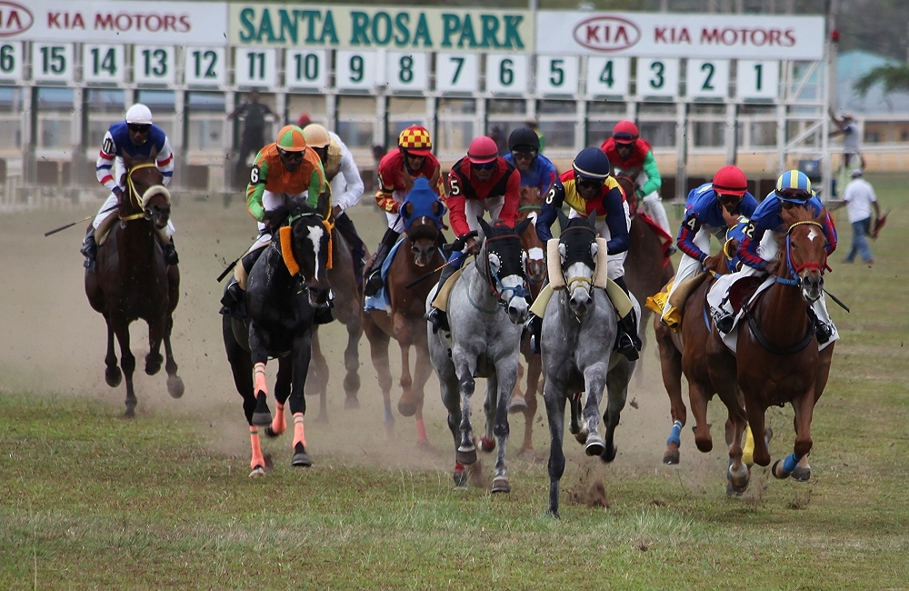 Jockeys go on strike – No more horse racing until further notice