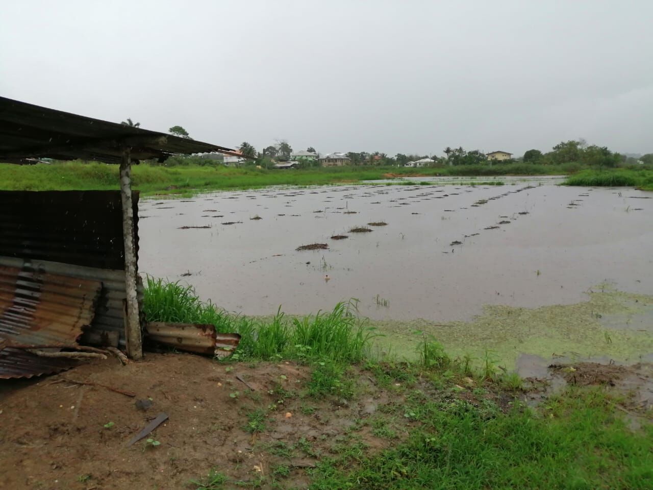 Better drainage system needed in the South Oropouche Basin