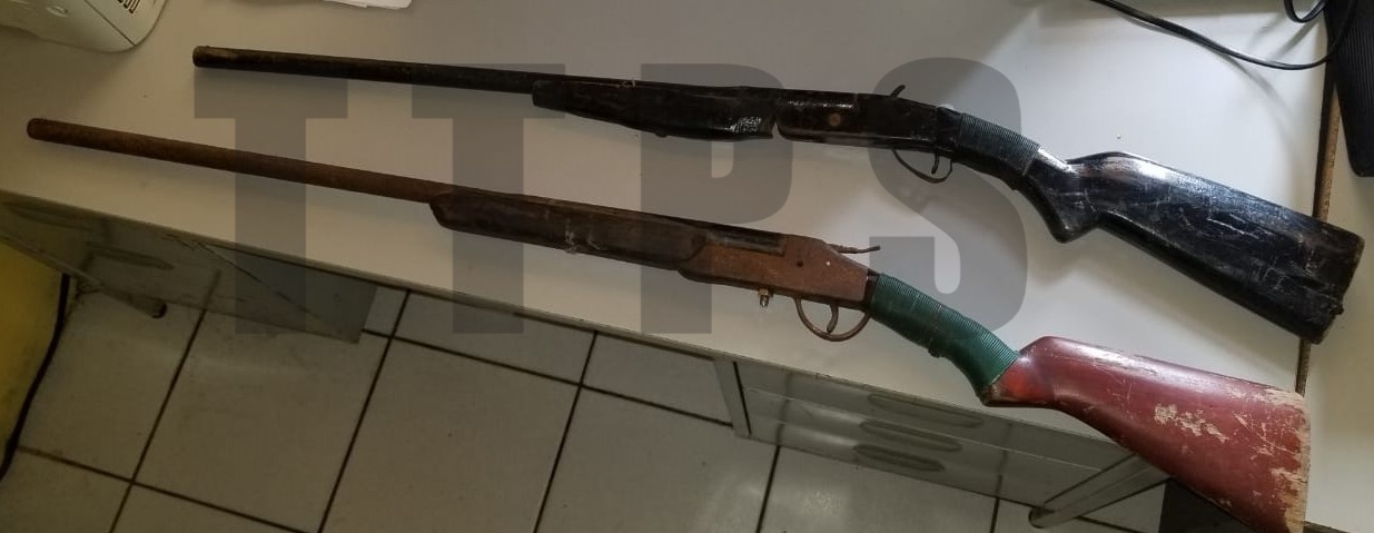 Police searching for owner of 2 homemade shotguns found in Tableland