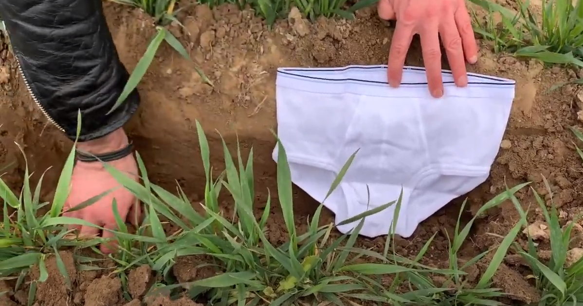 Scientists Are Burying 2000 Pairs of Underpants in Switzerland