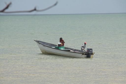 Fishing Agreement To Be Finalised After Fish Stock Assessment Between TT And Barbados
