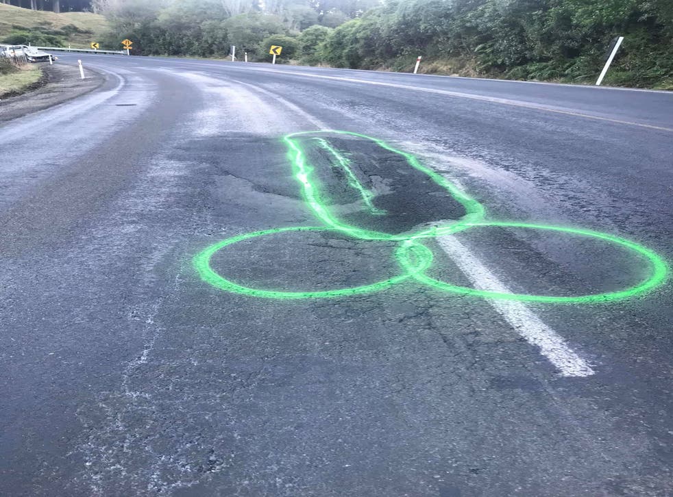 Activist Paints Penises On the Roadside in New Zealand