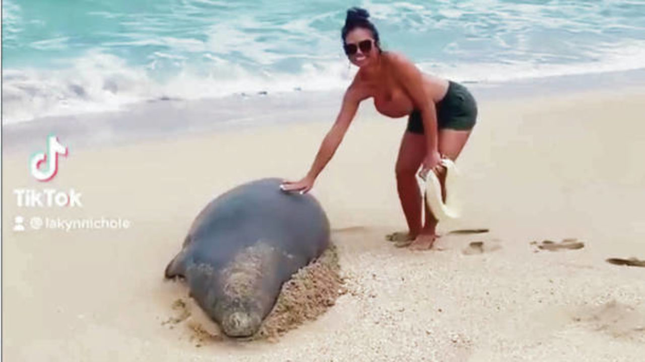 Louisiana couple received deaths threats for touching a monk seal