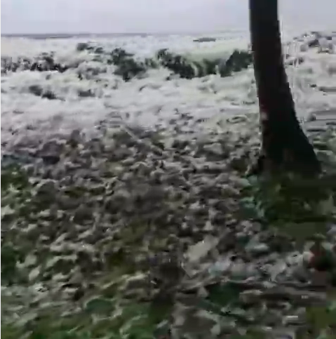 WATCH: Sea Foam “snow’ in Manzanilla