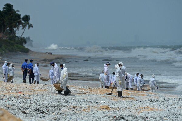 Scores of dead sea animals wash ashore in Sri Lanka