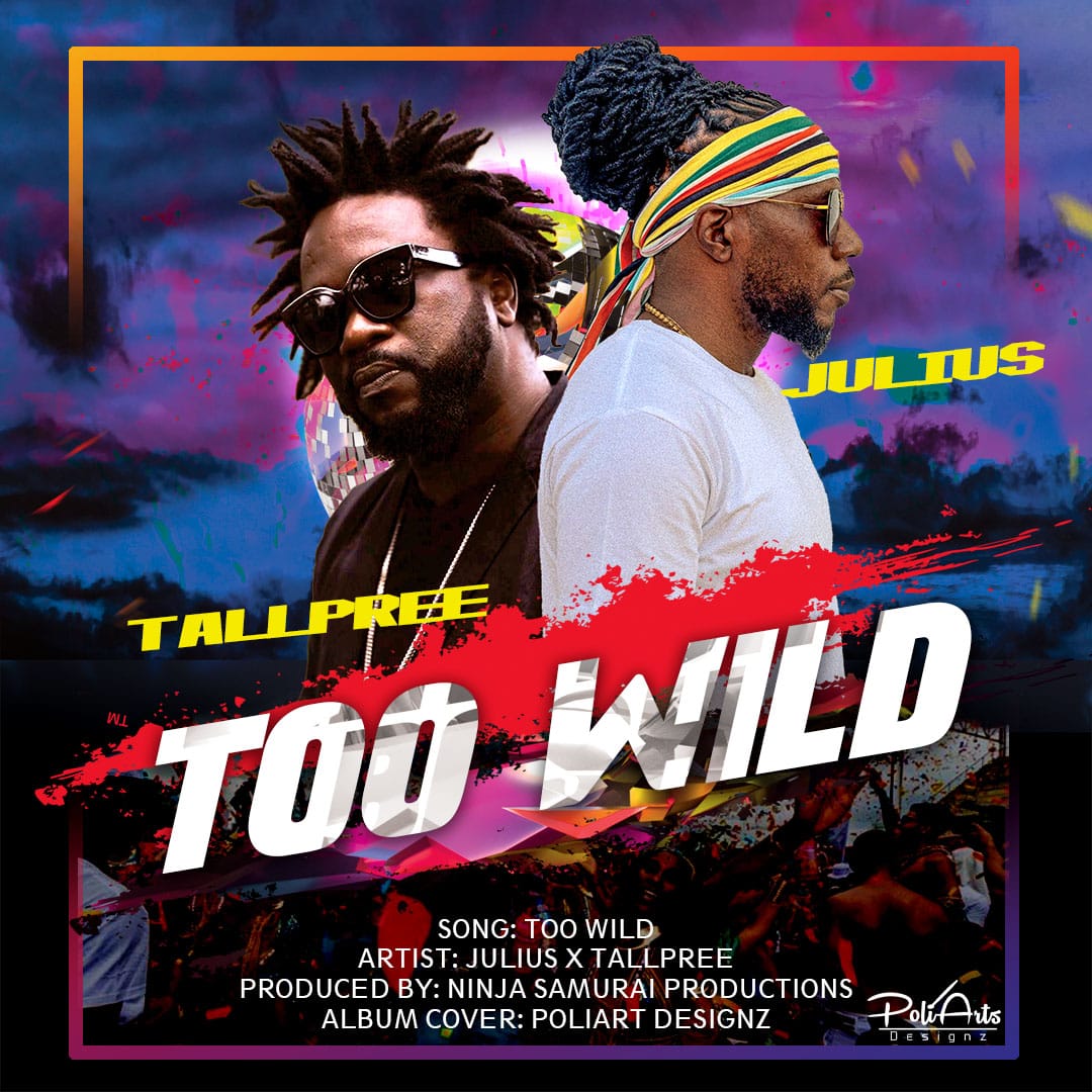 ‘Too Wild’ a mix of Jab, Soca and Power combined