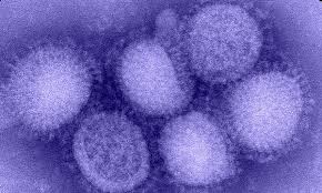 Influenza on the rise in the United States