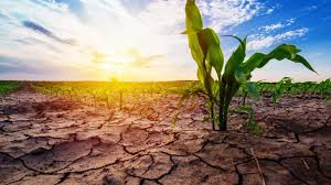 Met Office declares start of the 2022 Dry Season