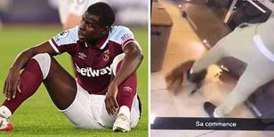 West Ham footballer Kurt Zouma fined £250,000 for kicking a cat