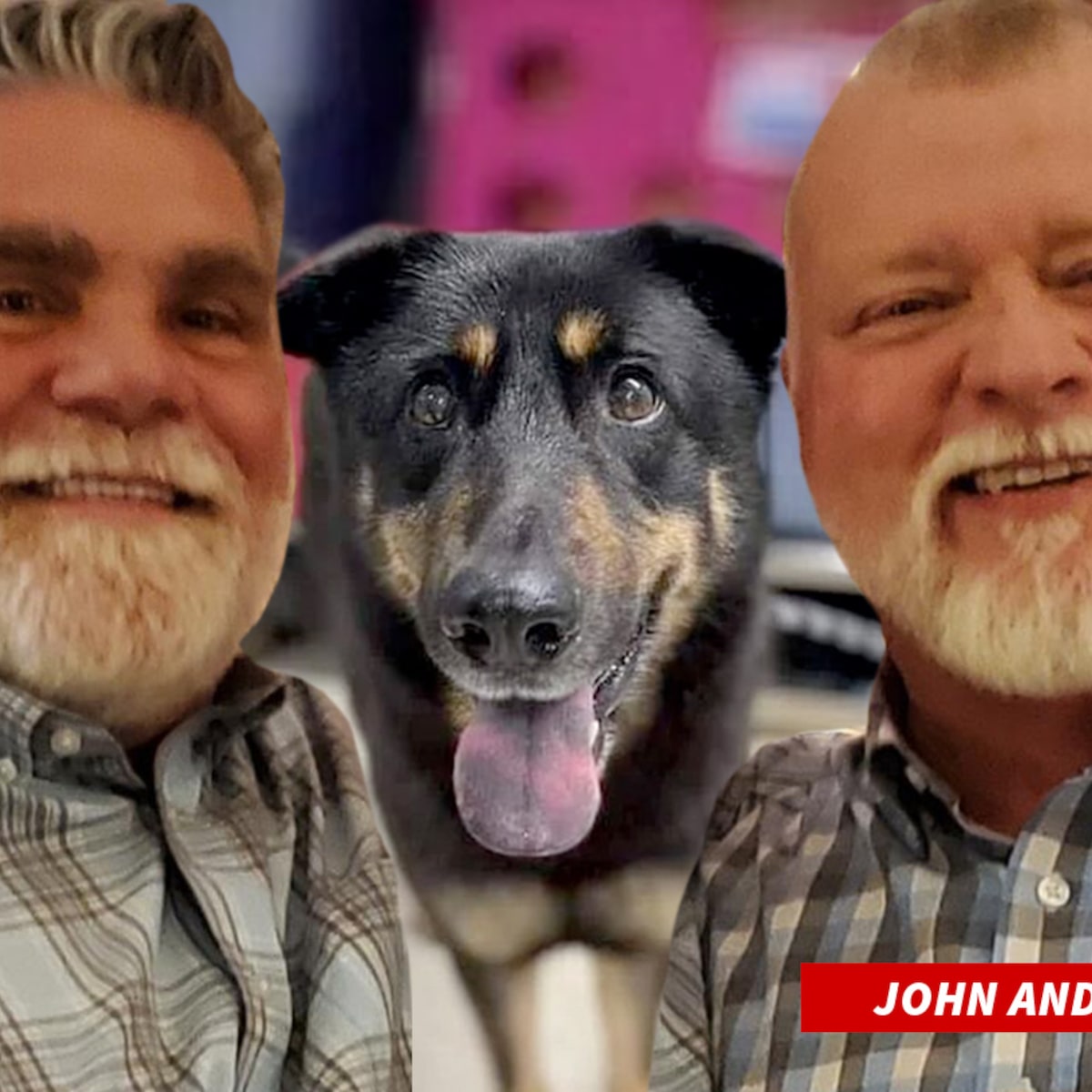 ‘Gay’ dog adopted by gay couple in North Carolina