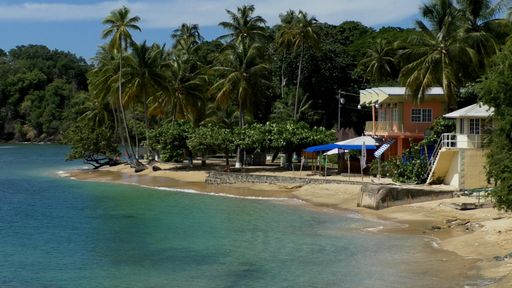 Tobago Hotelier Calls For Return Of Standing Committee To Address The Island’s Issues