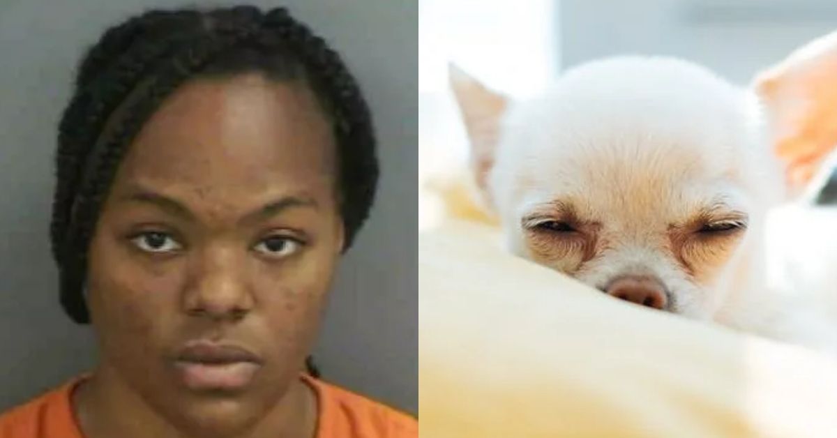 Florida teen stabbed her dog claiming supernatural forces made her do it
