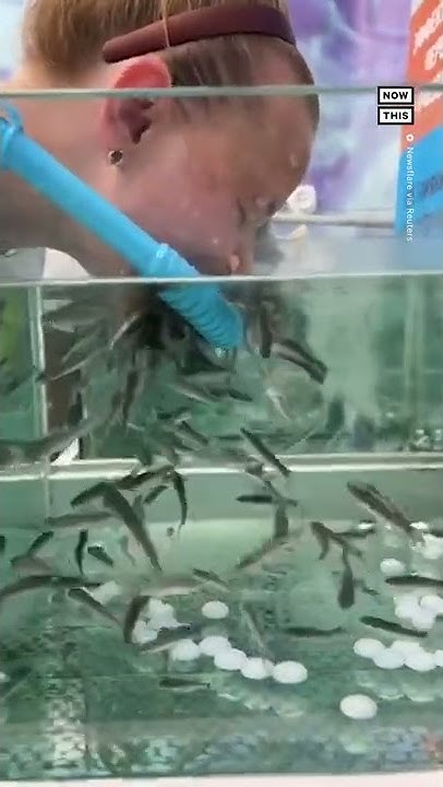 Russian spas now use fish for facials