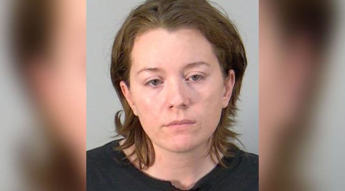 Florida babysitter accused of putting 4-year old in a dryer