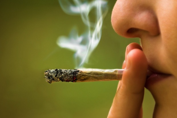 New study shows marijuana smokers at risk of cardiovascular disease