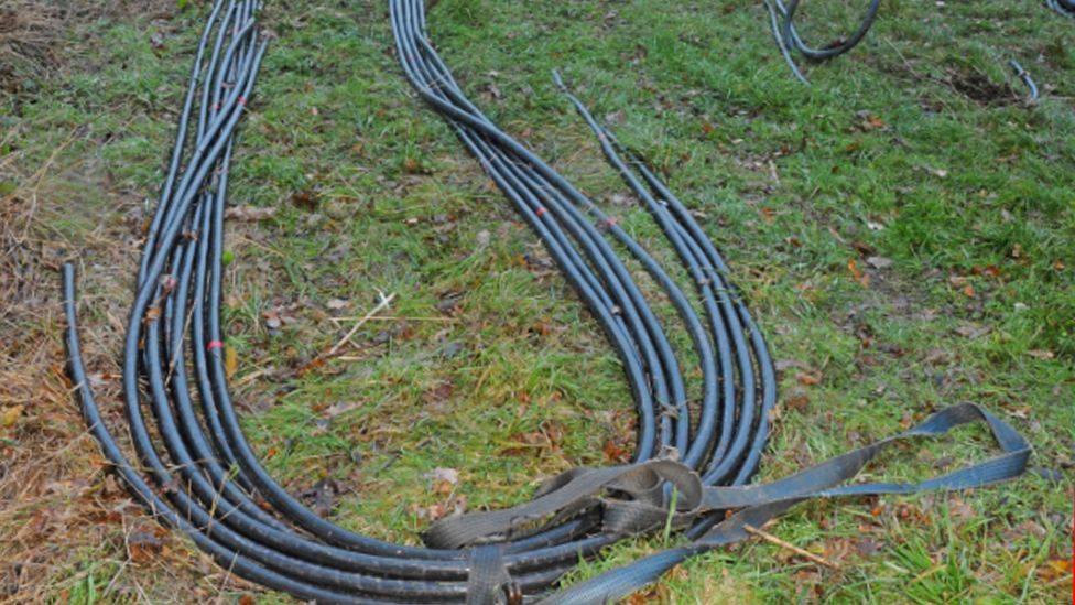 Two Jamaicans among three sought by police for cable theft