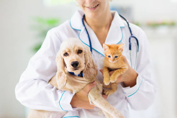 Veterinary association warns against fake vets