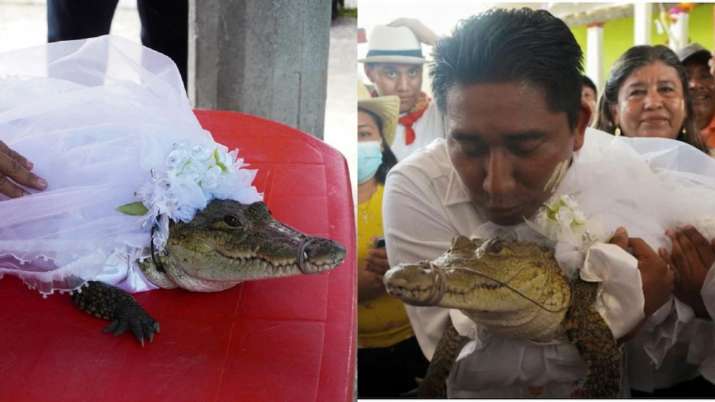 Mexican Mayor marries alligator as part of ancient ritual