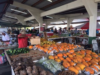 Shopping for fresh food crops made easy at NAMDEVCO wholesale market in Debe