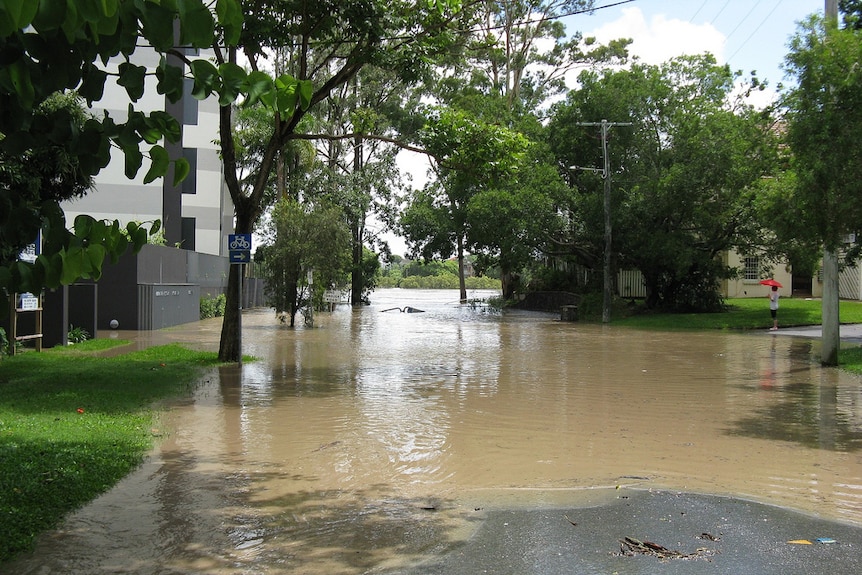 Saint Lucia experiences massive flooding