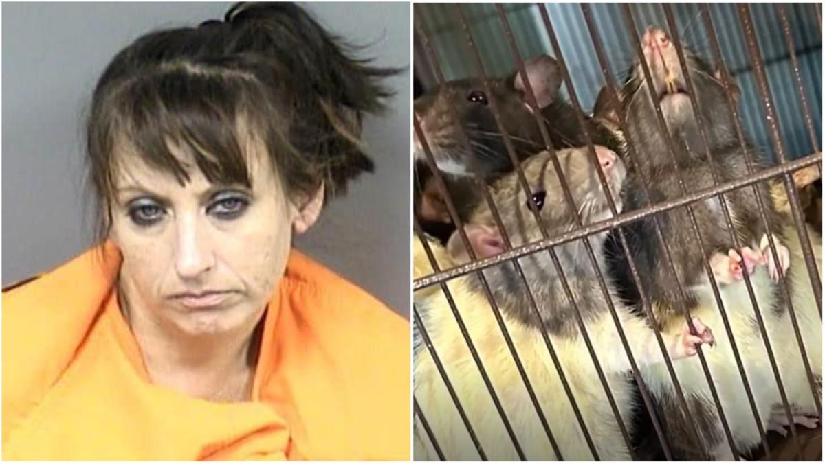 Florida woman arrested after cops found bugs, fecal matter and rodents in her home with her child